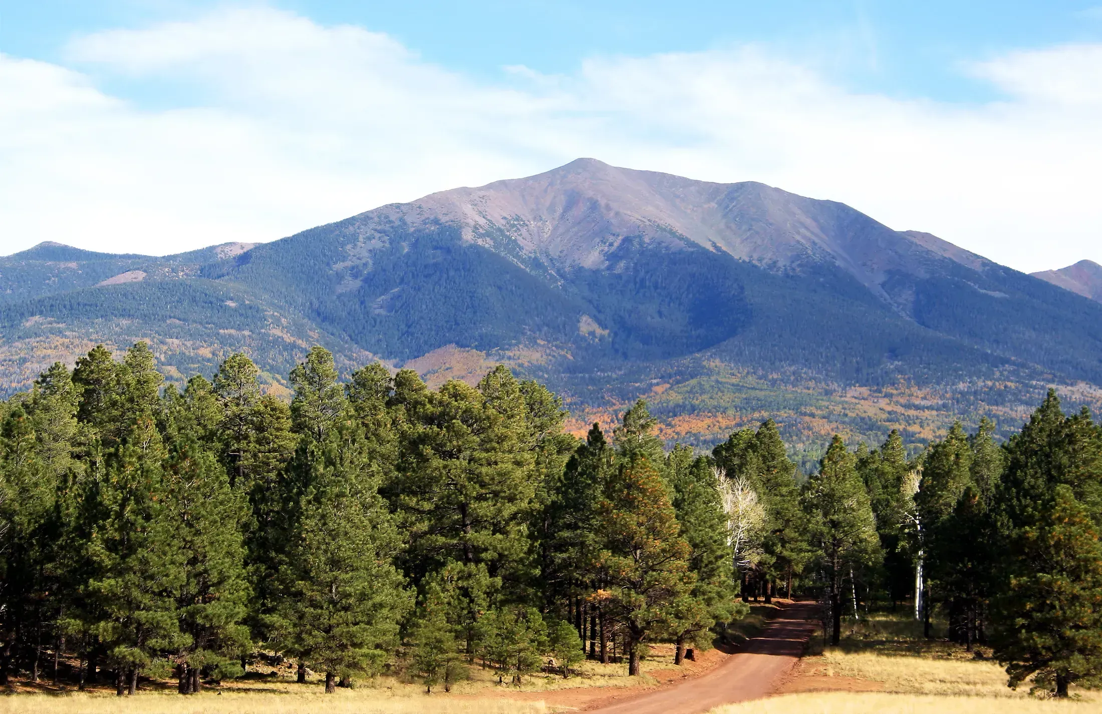 Snow-dusted forest road below the San Francisco Peaks near Flagstaff in winter